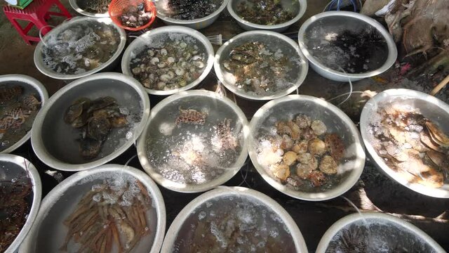 Rows of circle basins with different kinds of seafoods being sold in an open market.
