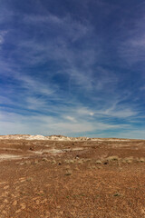 Fototapeta na wymiar Blue sky dominates the landscape, Petrified National Forrest, AZ, USA