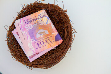 New Zealand fifty dollar notes in a bird's nest.