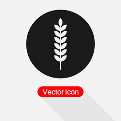 Wheat Icon Vector Illustration Eps10