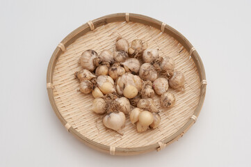 Organic garlic (Allium sativum) in woven bamboo basket. Isolated on white background.