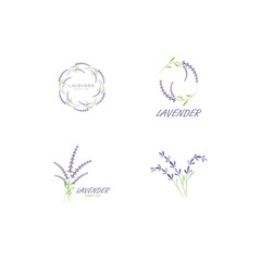 Fresh Lavender flower logo vector