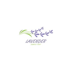 Fresh Lavender flower logo vector