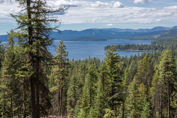 Priest Lake Landscapes