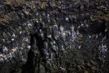 The volcanic black basalt landscape at the coast of Hellnar, a small town in Snaefellsnes, Iceland.