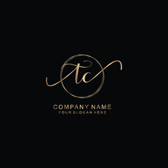 TC Initial handwriting logo template vector
