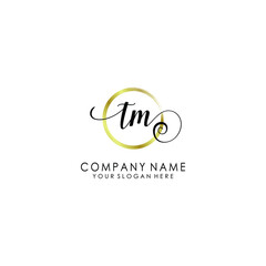 TM Initial handwriting logo template vector