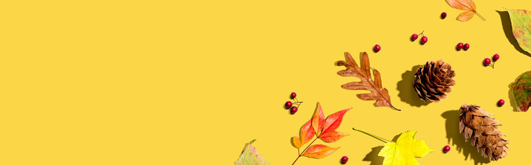 Colorful autumn leaves with pinecones overhead view - flat lay - obrazy, fototapety, plakaty