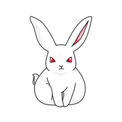 白色のウサギ