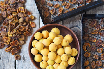 Procurement of dried apricots for future use.Dried apricots in a rack from the dryer with fresh fruits on a wooden natural table.