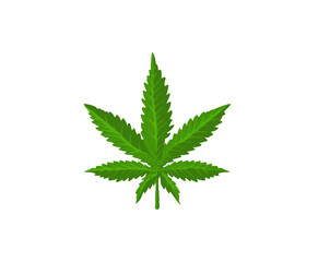 Green Cannabis leaf vector isolated on white