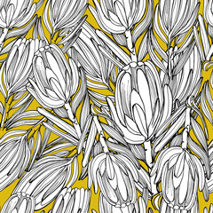 Coloring pattern with African Proteus flowers. Big beautiful flower. Dried flowers, decorated. Coloring book for children and adults with gentle proteas. For textiles, wallpaper, packaging. 