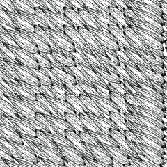 Drawing petals of a flower chamomile, chrysanthemum. Beautiful white flower. Flowers are dried flowers. Coloring book for children and adults. Manual graphics. For textiles, design, printershop. 