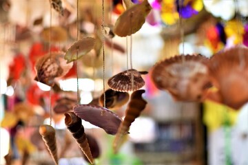 Traditional wind chimes made of sea shells hang in an island gift shop