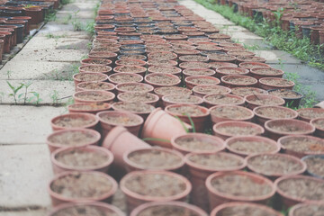 soil & fertilizer in planting pot for growing plant seedling in farm