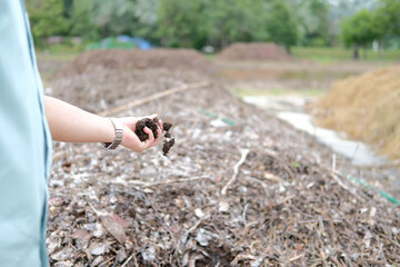 organic compost heap. fertilizer production for soil cultivation