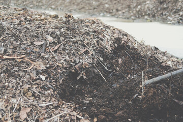 organic compost heap. fertilizer production for soil cultivation