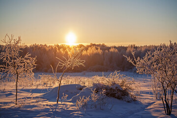 Winter forest landscape.snow-covered trees.Morning frost.Dawn in winter.Trees in the snow on the background of the rising sun