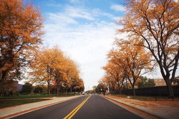 Road in Autumn