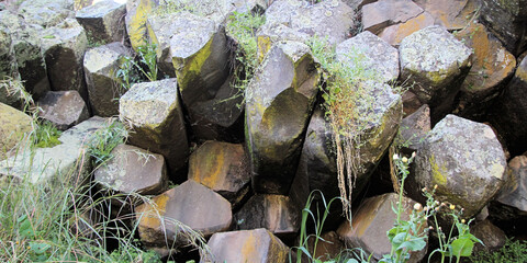 Columnar Basalt Outcrop at Battery Rock New South Wales Australia