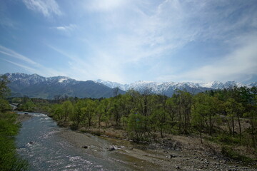 A nature landscape at summer in the forest, Japan