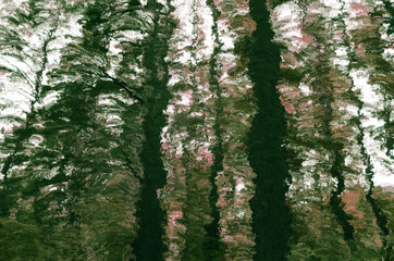 tree trunk with green moss 