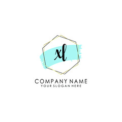 XL Initial handwriting logo template vector