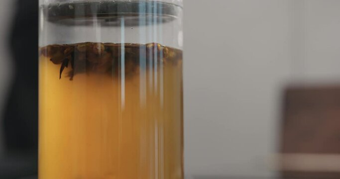 Slow motion tilit shot push french press with poured black tea with ginger and seaberry with hot water in glass beaker on kitchen countertop