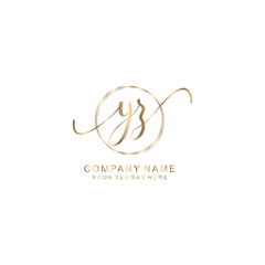 YZ nitial handwriting logo template vector
