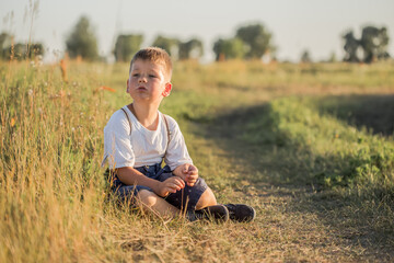 Naklejka na ściany i meble Cute boy 5 years old walks in a field at sunset. Portrait of a little fair-haired boy. Summer.