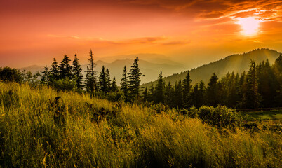 Fototapeta na wymiar Mountains scenery in Romania.