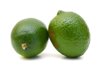 Citrus lime fruit isolated on white background cutout 