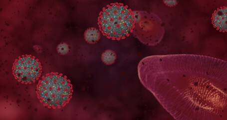 Hight concentration Coronavirus disease Covid-19. Animation group of viruses and Red blood cells close up. 3D rendering 3D illustration