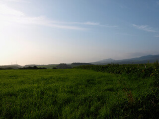 Obraz premium 北海道の牧草地