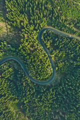 Curved aerial road from a drone. Forest asphalt road in the mountains near pine and spruce