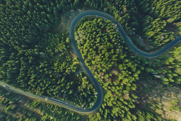Curved aerial road from a drone. Forest asphalt road in the mountains near pine and spruce