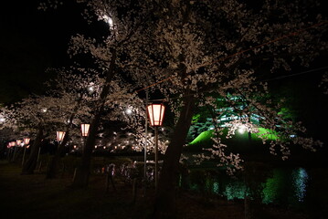 Scenic view of Illumination of Takada Castle Ruins Park in Sakura Spring Season, Joetsu, Niigate