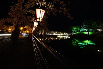 Fototapeta na wymiar Scenic view of Illumination of Takada Castle Ruins Park in Sakura Spring Season, Joetsu, Niigate
