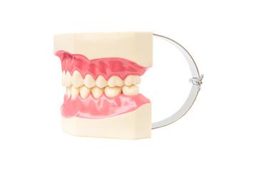 close up dentistry instruments and dental hygienist checkup concept with teeth model oral healthcare on white background