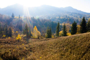 Autumn foliage in the mountains.
