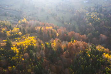 Fototapeta na wymiar Autumn foliage in the mountains.