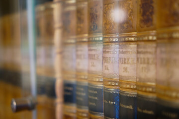 Sammlung von Beethovens Werke im hölzernen Bücherregal. Braun-grüne Buchrücken mit goldenen Lettern durch Scheibe hindurch.