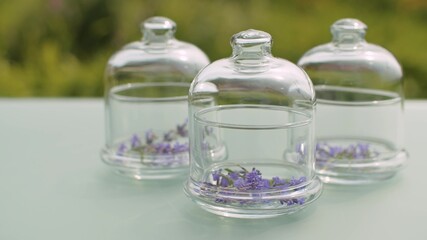 Lavender flowers in glass jars