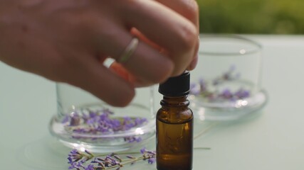 Lavender flowers and essential oil