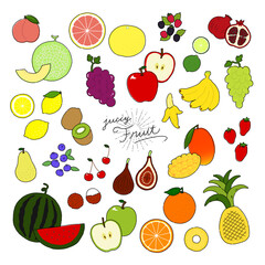 いろんなフルーツの手描きイラストアイコン fruit flat illustration vector icon