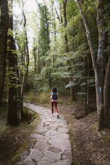 Obraz premium Back view of unknown woman walking on stone road. She is wearing colorful scratch jersey, orange jeans and black backpack. She is in a park with high green trees. She is alone.