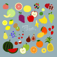 いろんなフルーツの手描きイラストアイコン fruit flat illustration vector icon