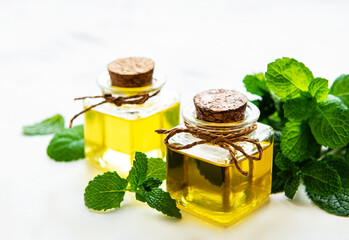 Organic mint oil and green leaves