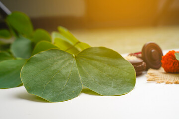 Indian festival dussehra, green apta leaf and rice