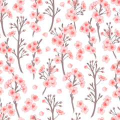 Vector cherry flowers and buds seamless pattern. Pink blooming flowers background